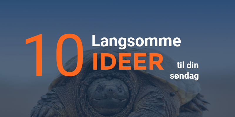 Infografik: 10 langsomme ideer til din søndag