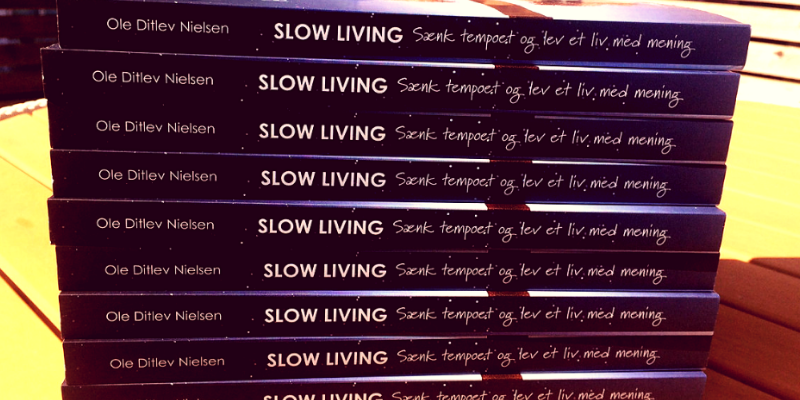 10 ting, jeg lærte af at skrive en bog om slow living